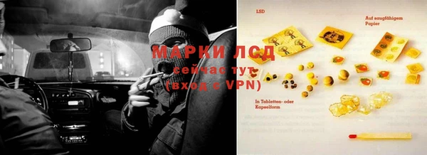 дурь Вяземский